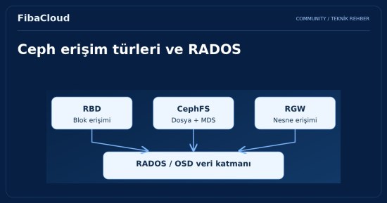 CEPH Nedir?
